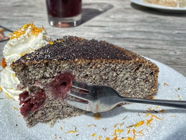 veganer Mohn-Kirsch Kuchen